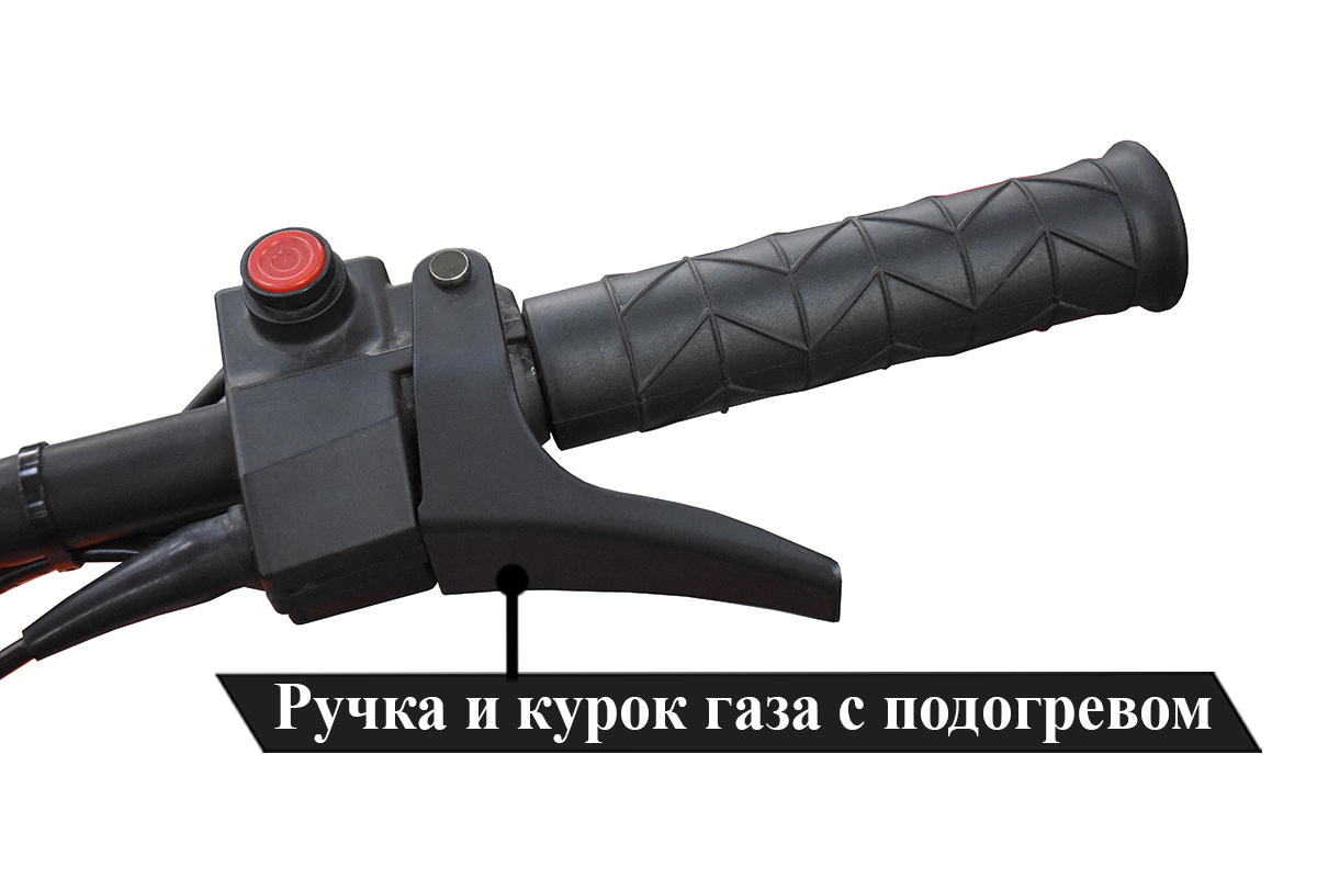 569817-1.jpg (293 KB)