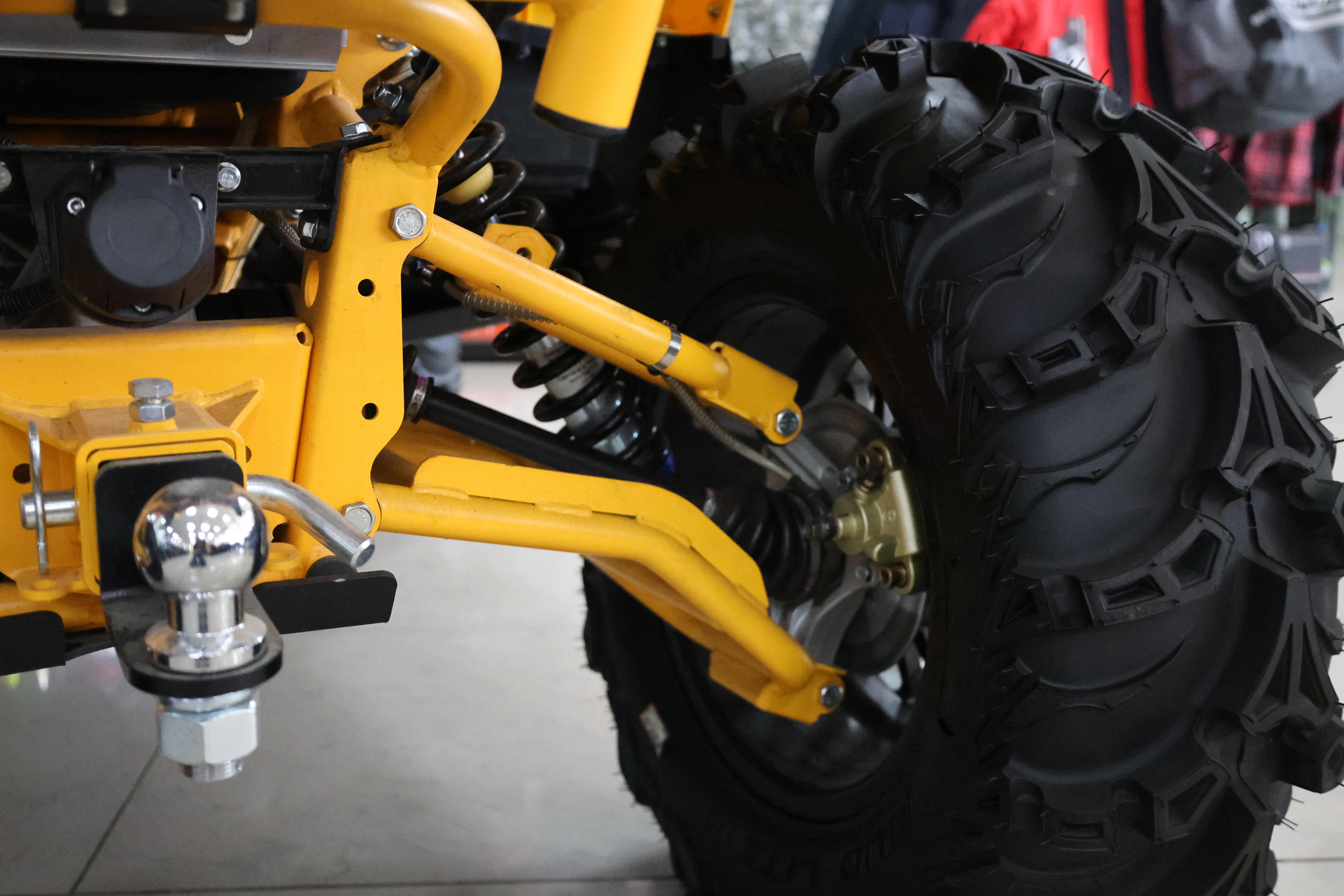 IMG_6038.JPG (7.68 MB)