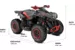 Квадроцикл Can-Am Renegade XXC 1000R 2020 ( )
