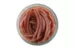 Червь Berkley Gulp Alive Angle Worm 5см. (Brown )