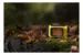Лазерный дальномер Nikon Laser Rangefinder Foresty Pro II