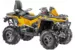 Квадроцикл STELS ATV 650 GUEPARD Trophy EPS
