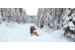 Снегоход SKI DOO Expedition SE 900 ACE Turbo (650W) ES Studded track VIP 2021