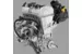 Снегоход SKI DOO Expedition SE 900 ACE Turbo (650W) ES Studded track VIP 2021