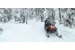 Снегоход SKI DOO Expedition SE 900 ACE Turbo (650W) ES Studded track VIP 2021