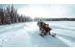 Снегоход SKI DOO Expedition SE 900 ACE Turbo (650W) ES Studded track VIP 2021