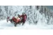 Снегоход SKI DOO Summit X 154 850 E-TEC SHOT 2021