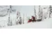 Снегоход SKI DOO Summit X 154 850 E-TEC SHOT 2021