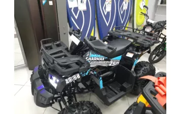 Детский квадроцикл Шармакс 250 Активатор