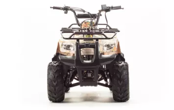 Квадроцикл MOTOLAND ATV 110 RIDER