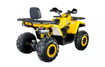 Квадроцикл MOTOLAND ATV 200 WILD TRACK X (Желтый, , , )