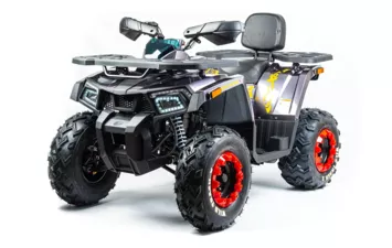 Квадроцикл MOTOLAND ATV 200 WILD TRACK X (Серый, , , )