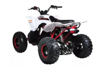 Квадроцикл Mikilon Rapide 125 S (Белый, , , )