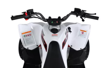 Квадроцикл Mikilon Rapide 125 S (Белый, , , )