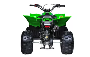 Квадроцикл Mikilon Rapide 120 EFI (vin) (Зеленый, , , )