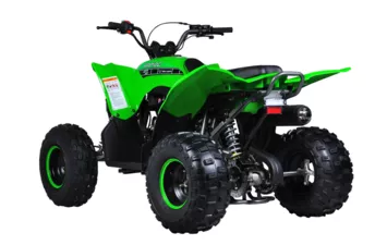 Квадроцикл Mikilon Rapide 120 EFI (vin) (Зеленый, , , )
