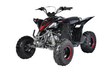 Квадроцикл Mikilon Rapide 120 EFI (vin) (Черный, , , )