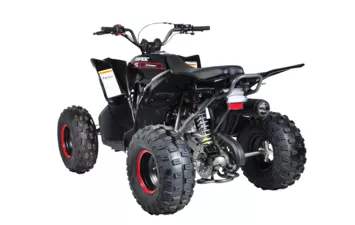 Квадроцикл Mikilon Rapide 120 EFI (vin) (Черный, , , )