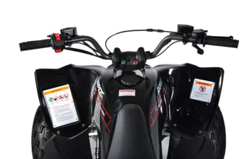 Квадроцикл Mikilon Rapide 120 EFI (vin) (Черный, , , )