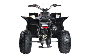 Квадроцикл Mikilon Rapide 120 EFI (vin) (Черный, , , )