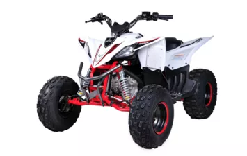 Квадроцикл Mikilon Rapide 120 EFI (vin) (Белый, , , )