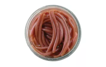 Червь Berkley Gulp Alive Angle Worm 5см. (Brown )