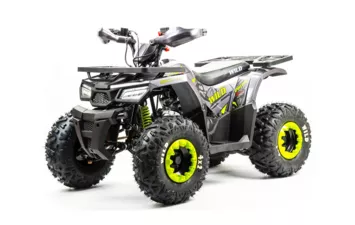 Квадроцикл MOTOLAND ATV 125 WILD
