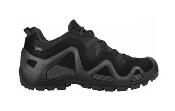Ботинки LOWA Zephyr GTX LO TF