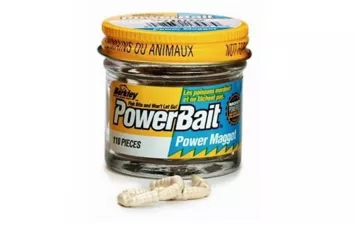 Приманка  искусств.