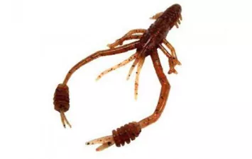 Приманка Reins RING SHRIMP  2,3