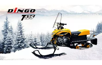 Снегоход DINGO T125 125cc 4т
