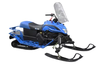 Снегоход DINGO T 200