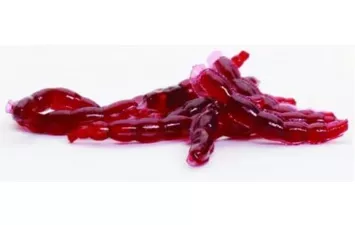 Мотыль Berkley PoverBait Maxi Blood Worms