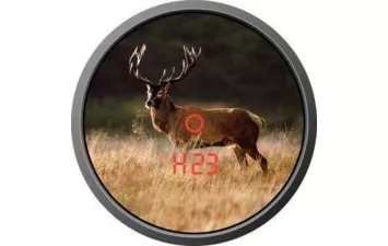 Бинокль-дальномер Zeiss 8x45 T* Victory RF