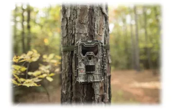 Камера Bushnell Camera 14MP Aggresor HD Camo Low GLOW 119775c