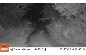 Камера Bushnell Camera 14MP Aggresor HD Camo Low GLOW 119775c