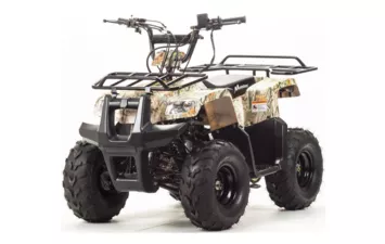 Квадроцикл MOTOLAND ATV 110 RIDER