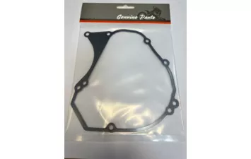 Прокладка MT250 110420042-0001