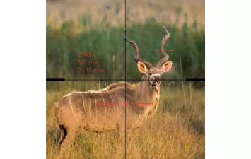 Прицел Swarovski GEN.II dS 5-25х52 P L