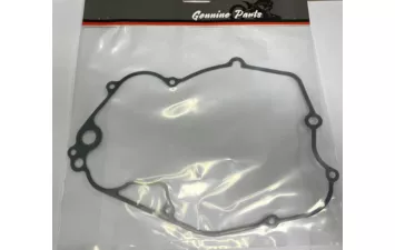 Прокладка MT250 110620074-0001