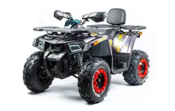 Квадроцикл MOTOLAND ATV 200 WILD TRACK X PRO