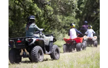 Квадроцикл Can-Am Youth DS Base 250 2021