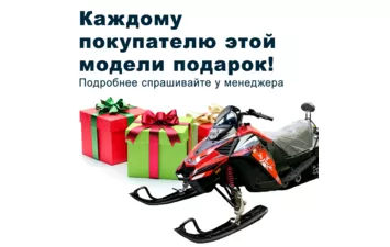 Снегоход Барс WD 150 S
