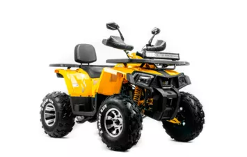 Квадроцикл MOTOLAND ATV 200 WILD TRACK X PRO
