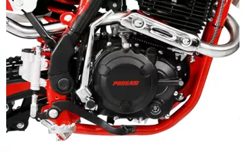 Мотоцикл PROGASI SUPER MAX 250