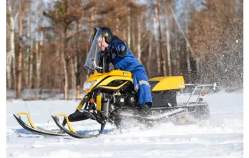 Снегоход DINGO T150 150cc 4т 2016