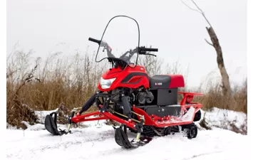 Снегоход DINGO T 200