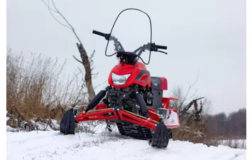 Снегоход DINGO T 200