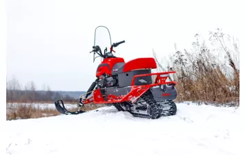 Снегоход DINGO T 200