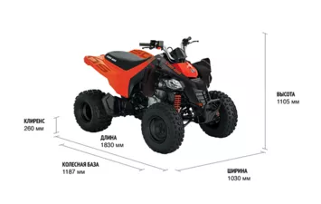 Квадроцикл Can-Am Youth DS Base 250 2021